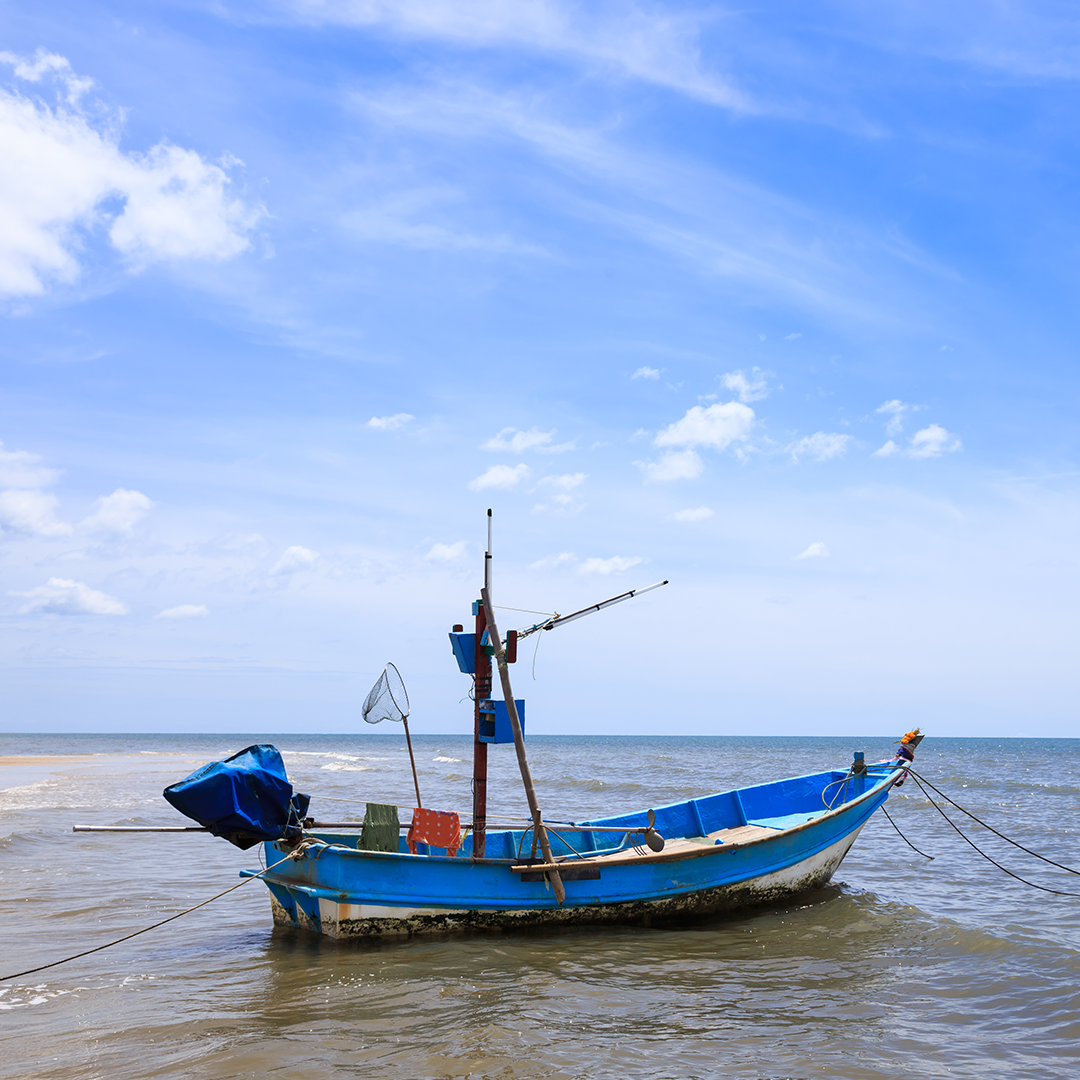 Alliance Deep Sea Fishing Ltd image